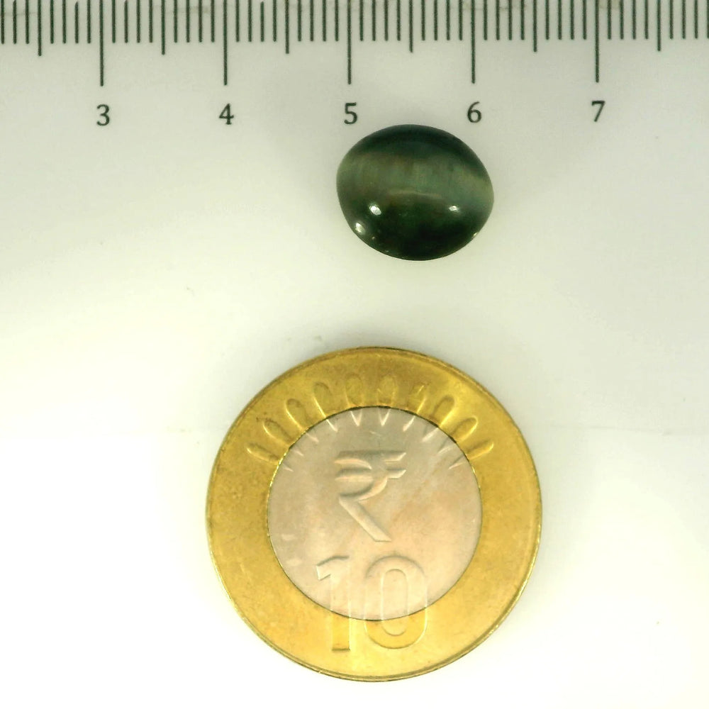 ITLGR_107085_SCALE.webp