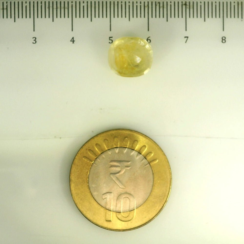 IGITL_201534_SCALE.webp