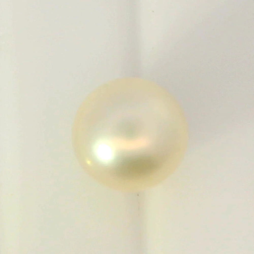 ITLGR_99863_TOP.webp
