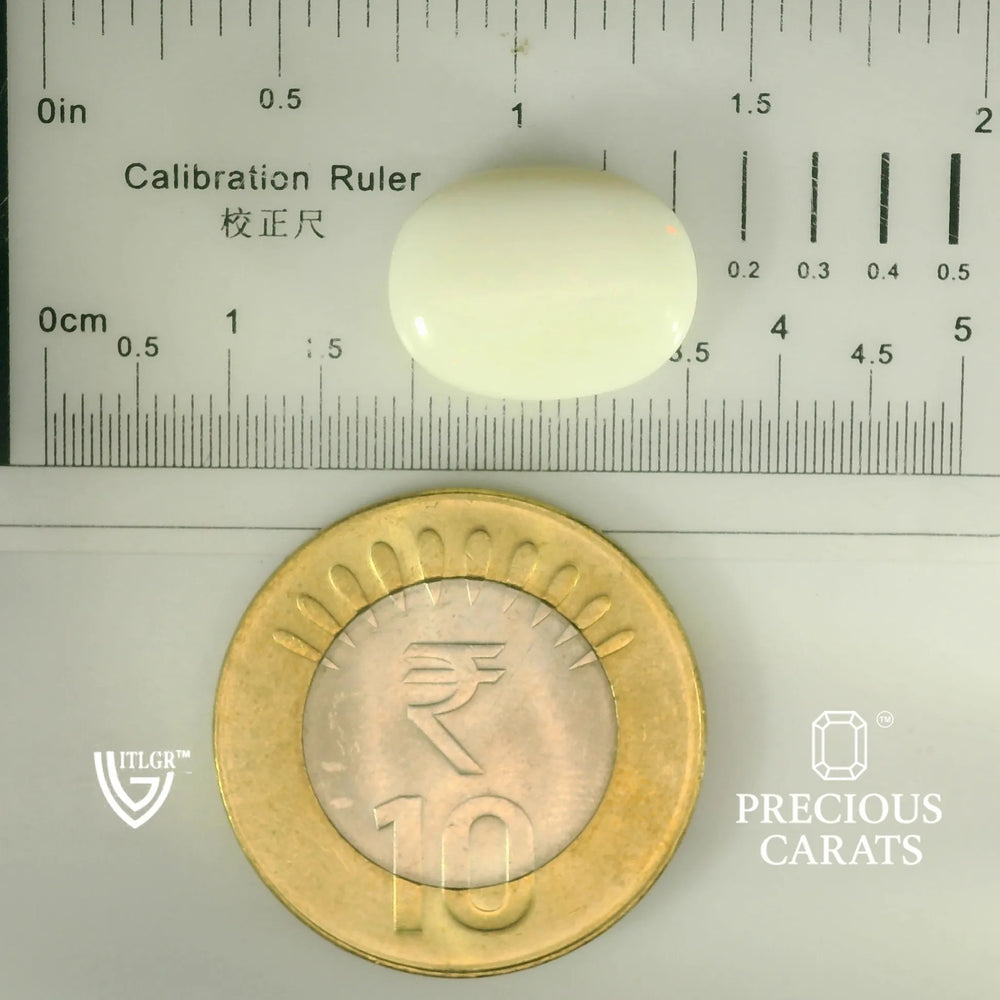ITLGR_101872_SCALE.webp