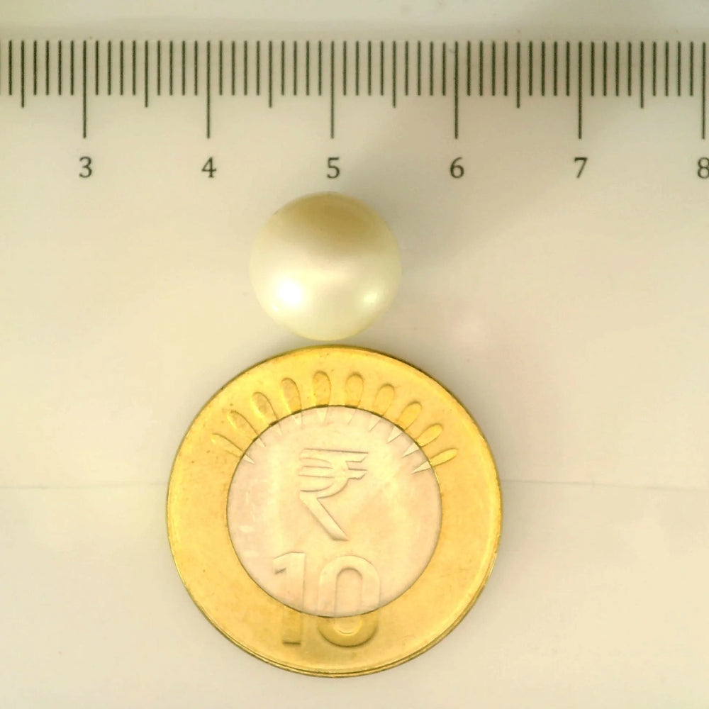 ITLGR_106932_SCALE.webp