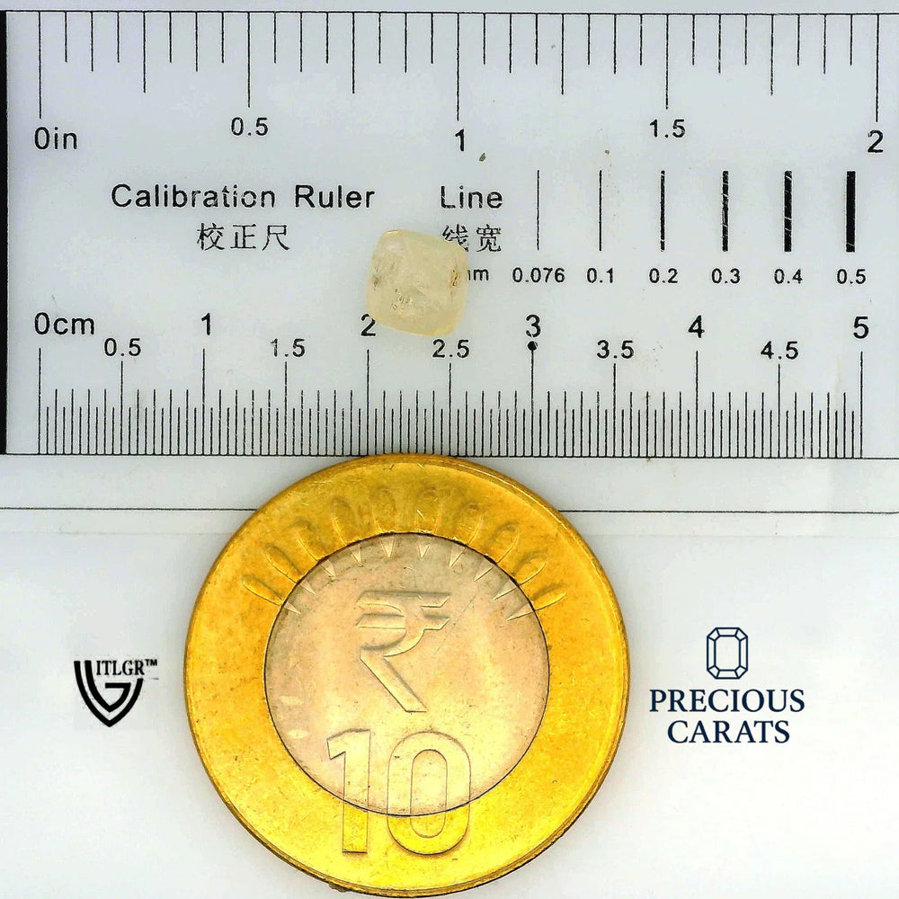 ITLGR_100345_SCALE.webp