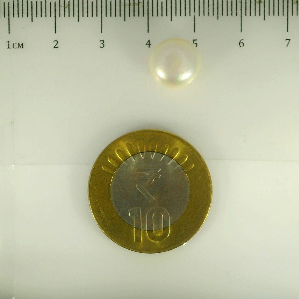 ITLGR_107019_SCALE.webp