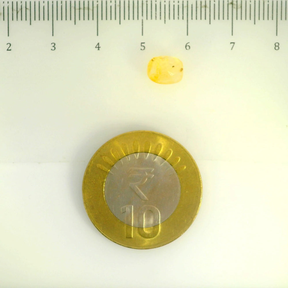 IGITL_200266_SCALE.webp