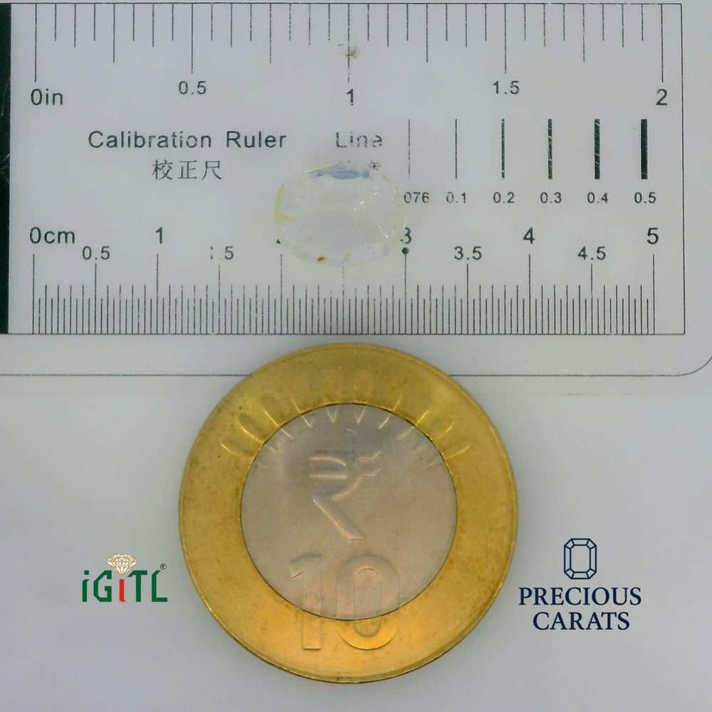 IGITL_197792_SCALE.webp