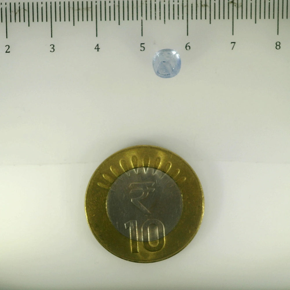 ITLGR_105028_SCALE.webp