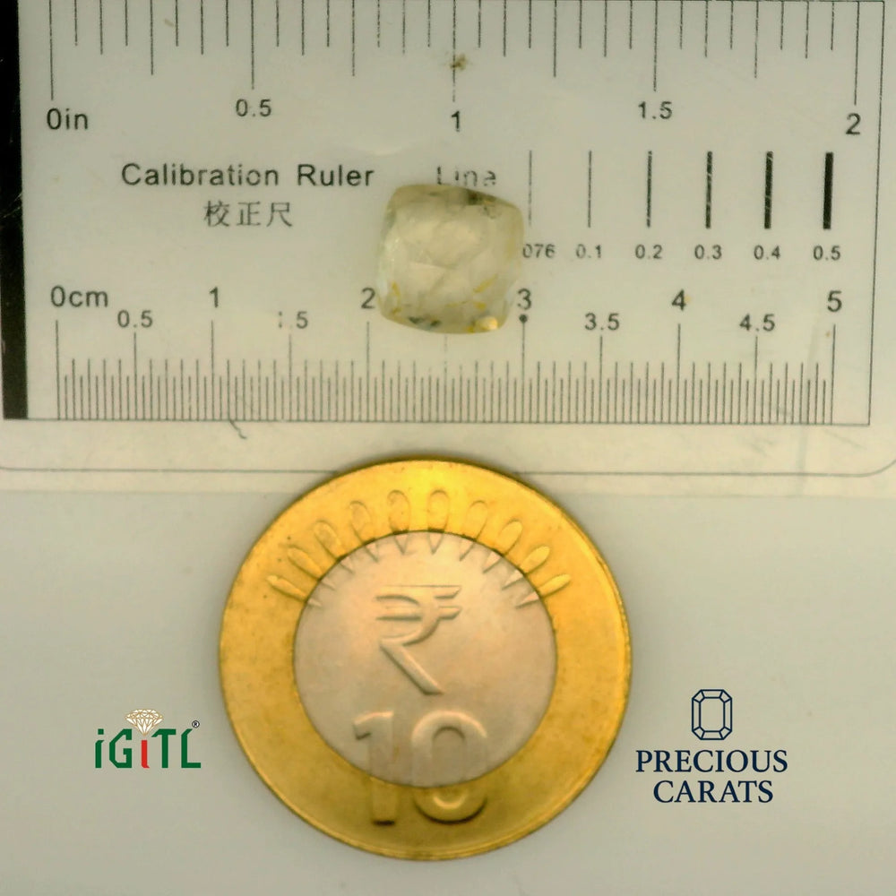 IGITL_197758_SCALE.webp
