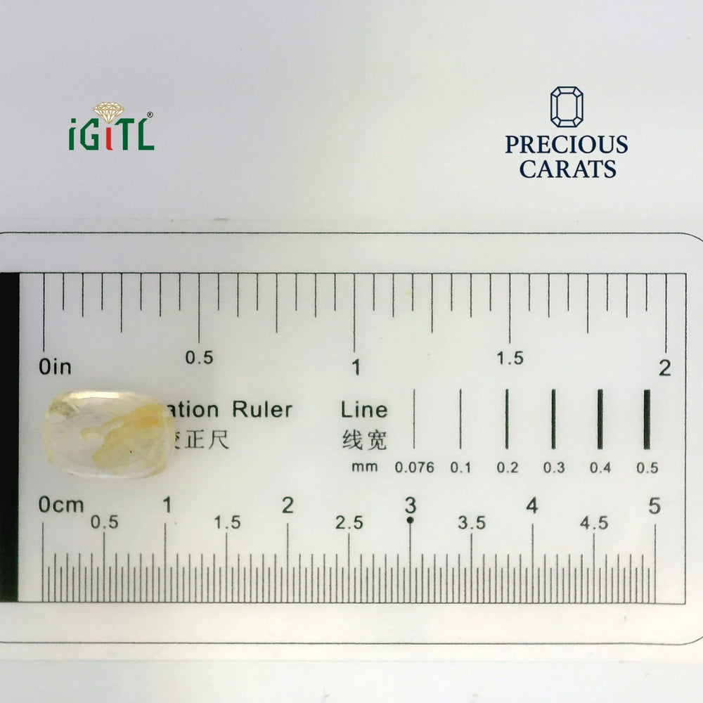 IGITL_194724_SCALE.webp