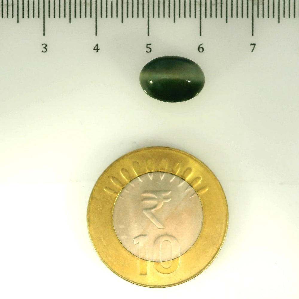 ITLGR_107096_SCALE.webp