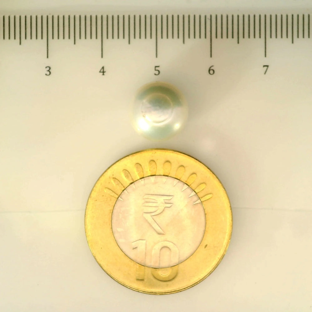 ITLGR_106948_SCALE.webp