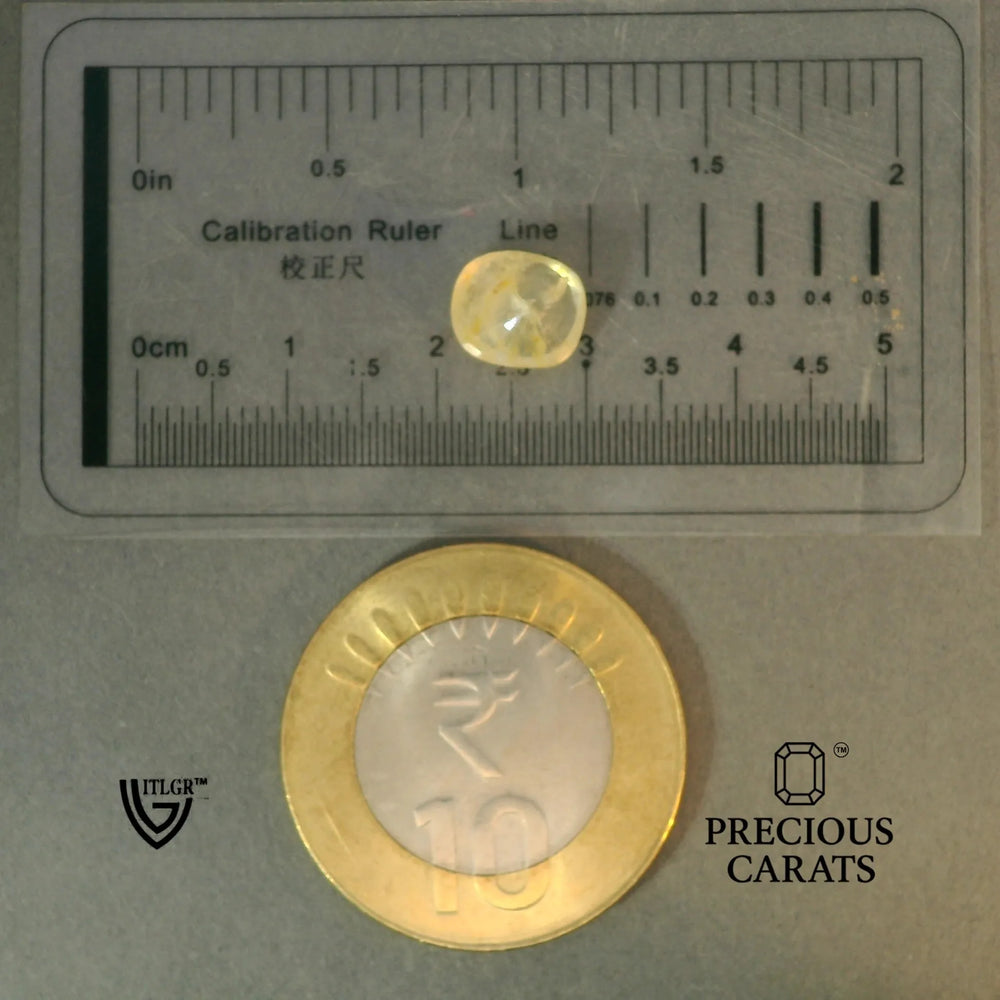 ITLGR_100393_SCALE.webp