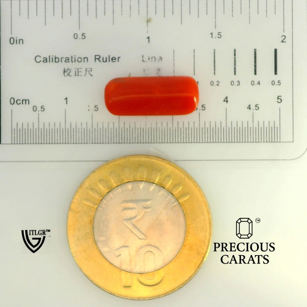 ITLGR_104528_SCALE.webp