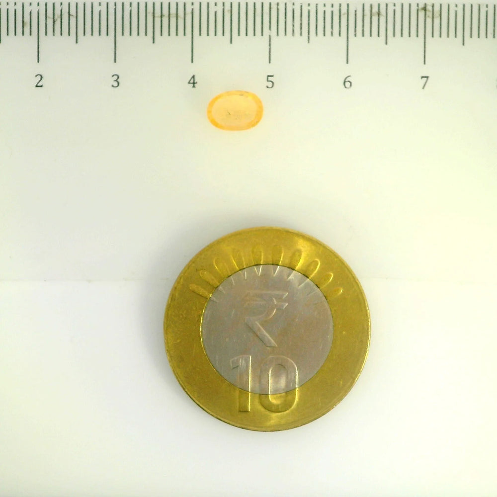 ITLGR_105030_SCALE.webp