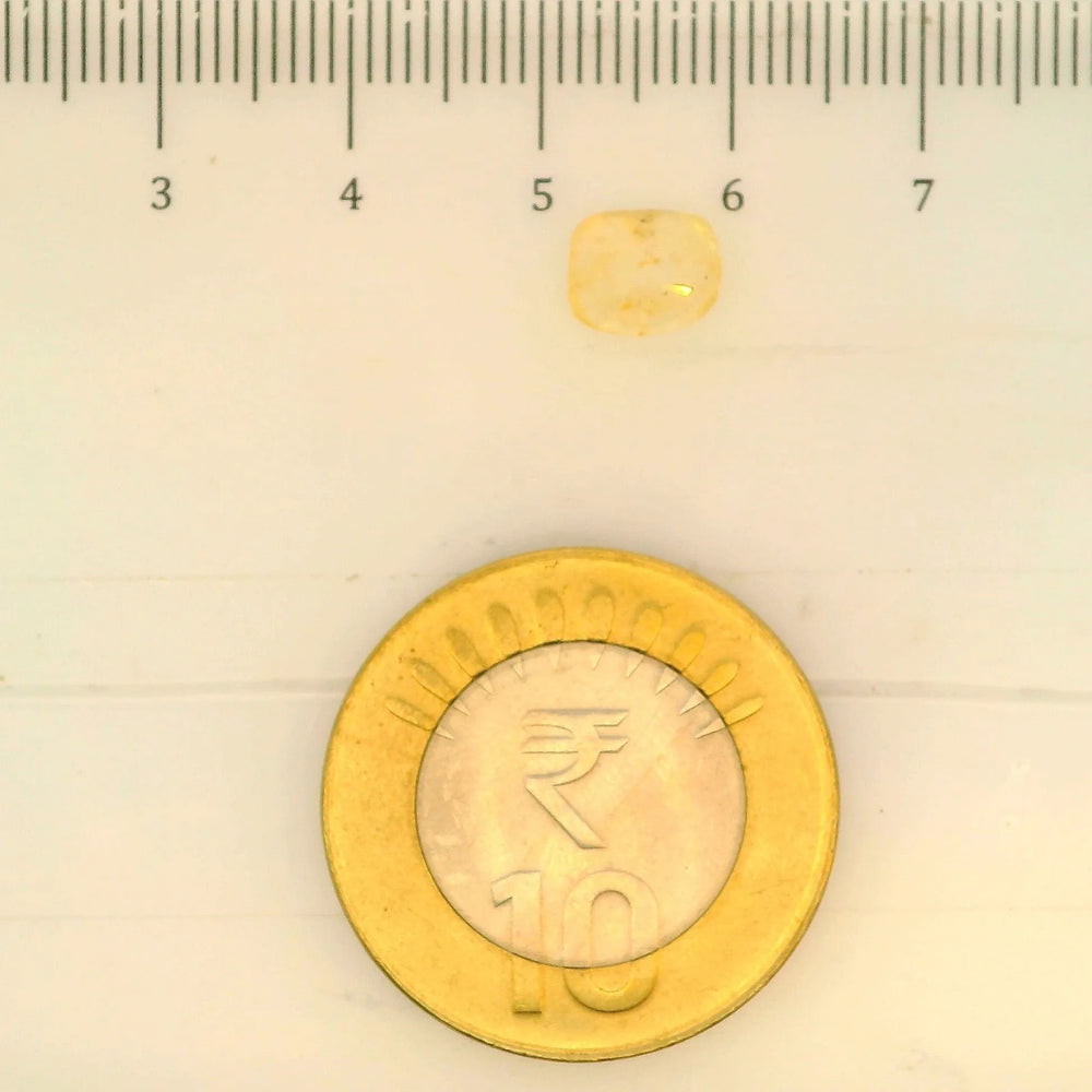 ITLGR_104983_SCALE.webp