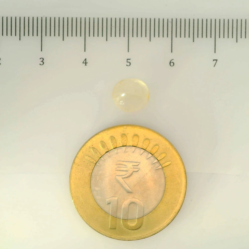 IGITL_200278_SCALE.webp