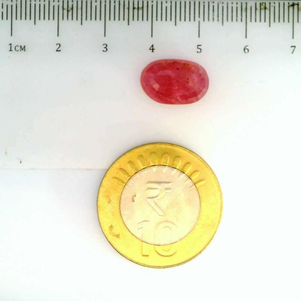 ITLGR_2422_SCALE.webp