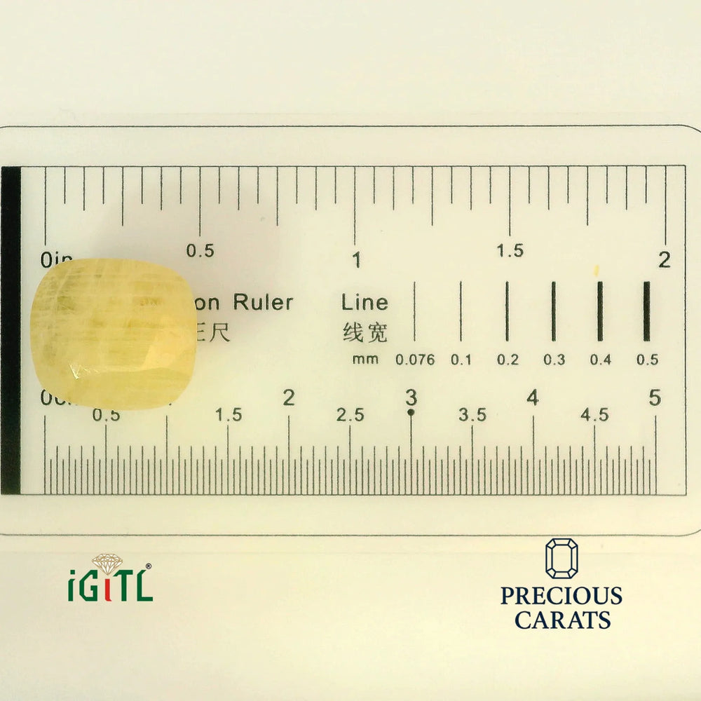 IGITL_194704_SCALE.webp
