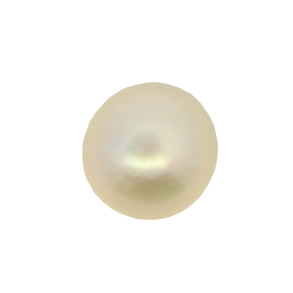 ITLGR_99865_TOP.webp