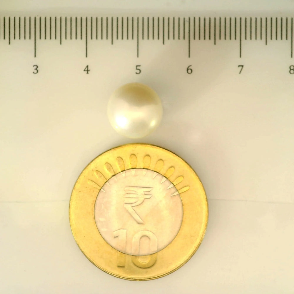 ITLGR_107012_SCALE.webp