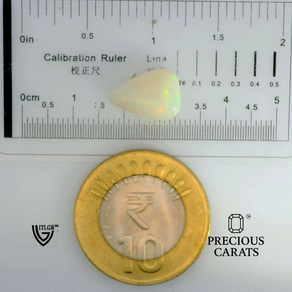 ITLGR_102015_SCALE.webp