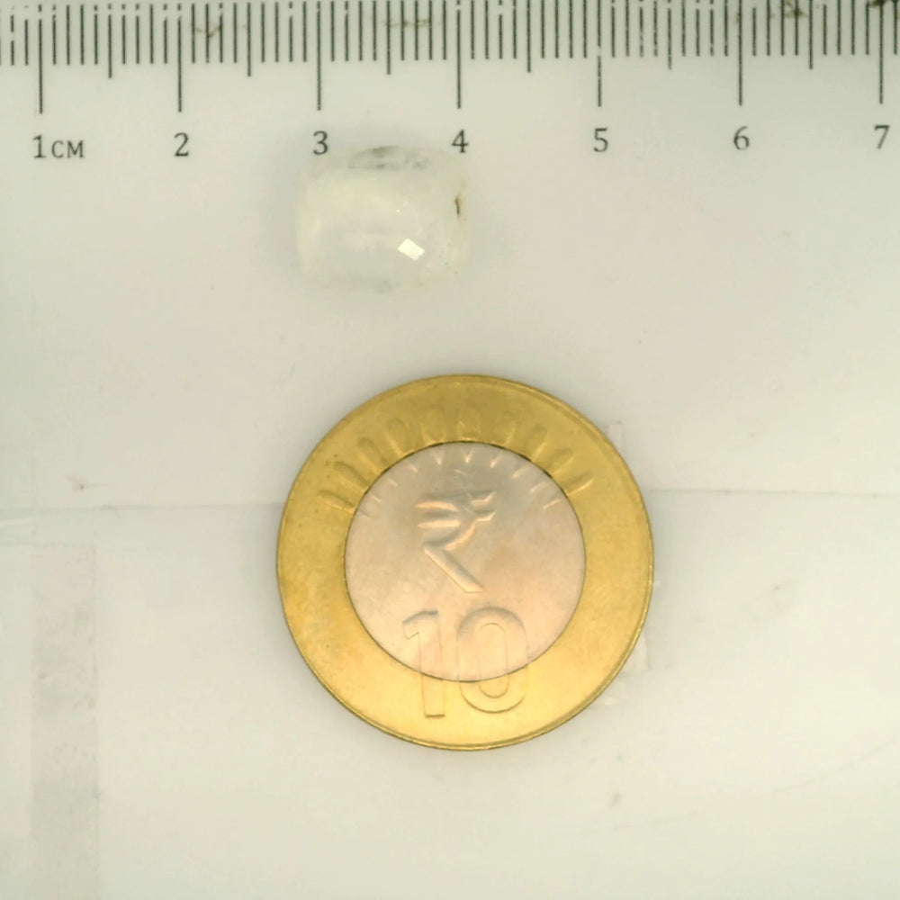 IGITL_194731_SCALE.webp
