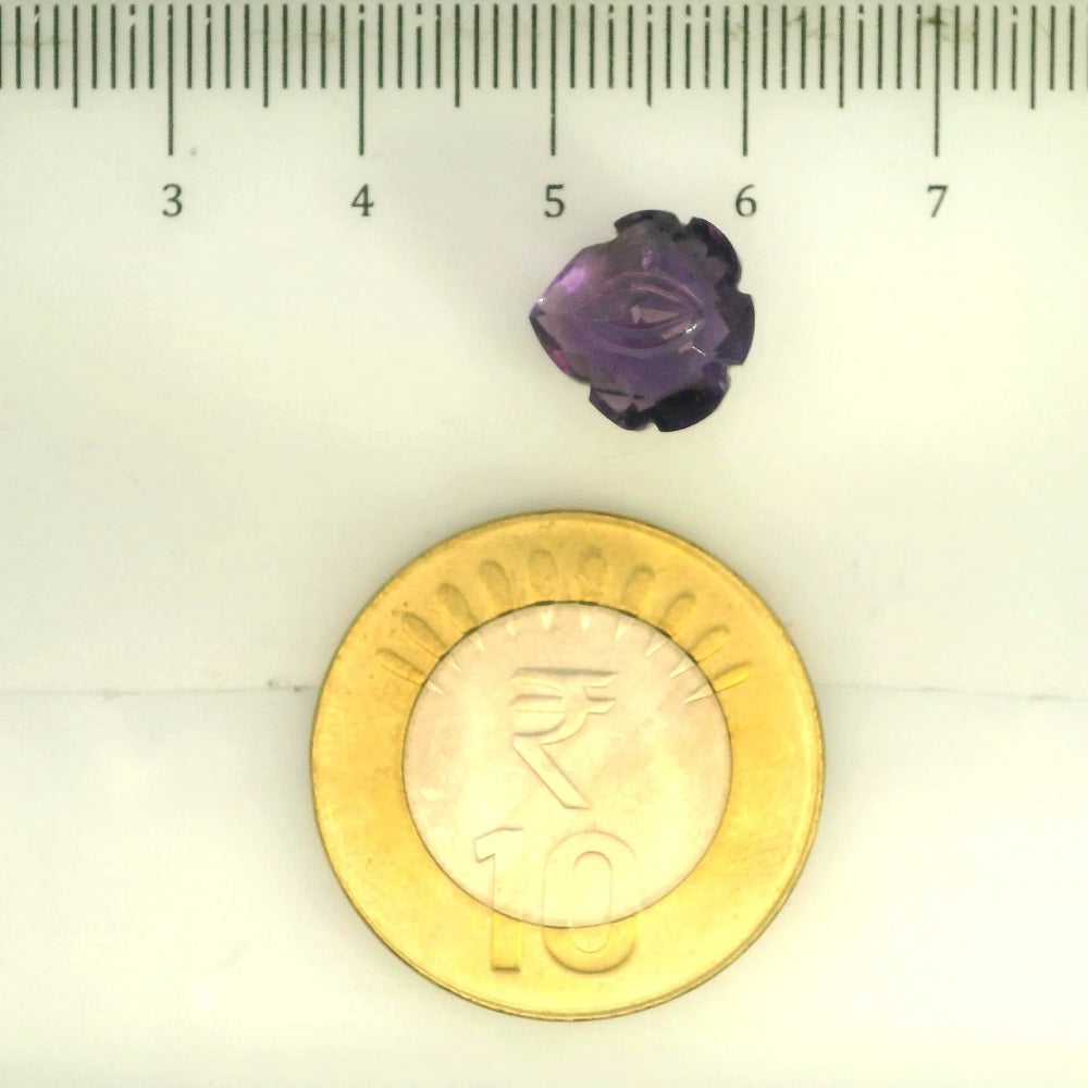 ITLGR_109466_SCALE.webp