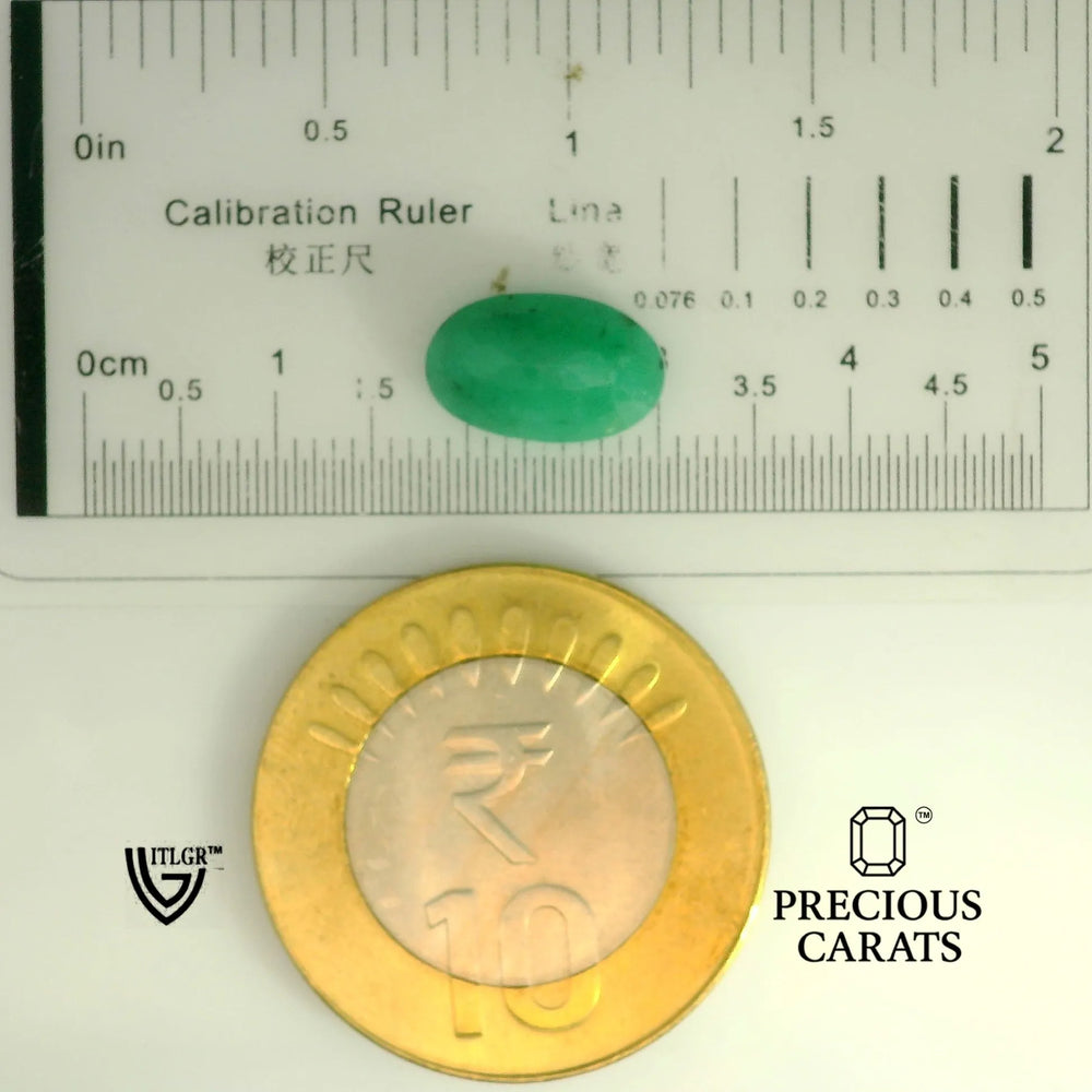 ITLGR_105212_SCALE.webp