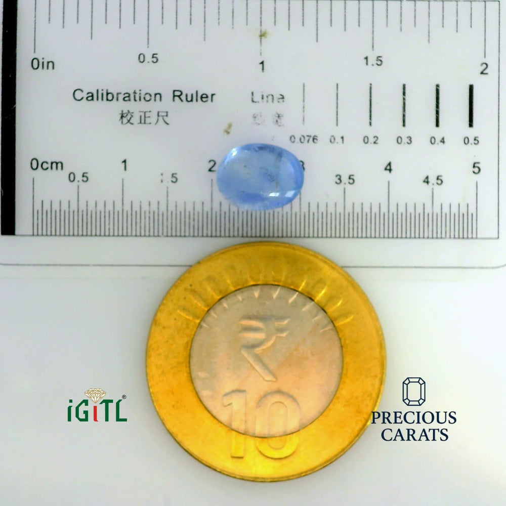 IGITL_197718_SCALE.webp