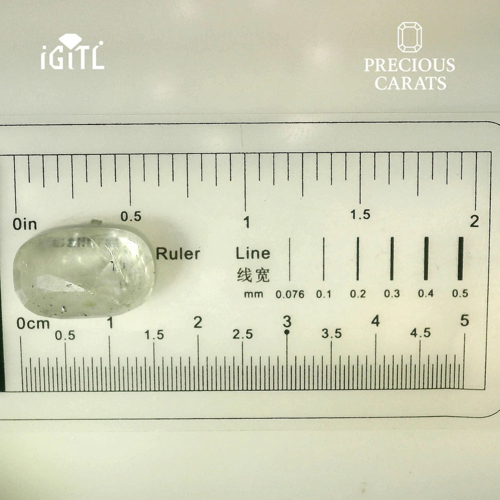 IGITL_194734_SCALE.webp