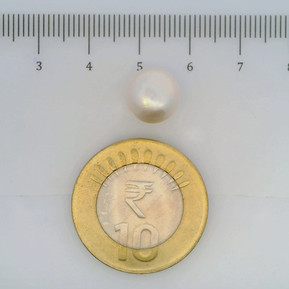 ITLGR_107035_SCALE.webp