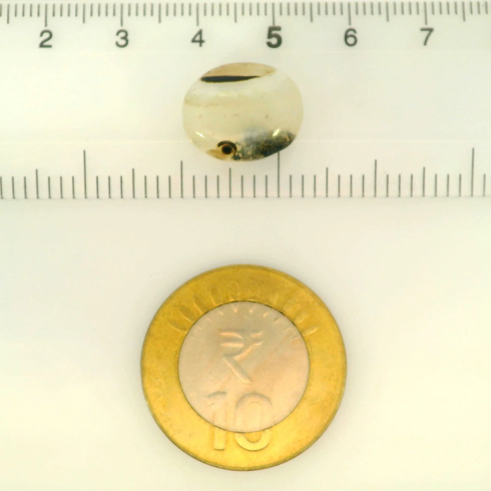 ITLGR_121466_SCALE.webp