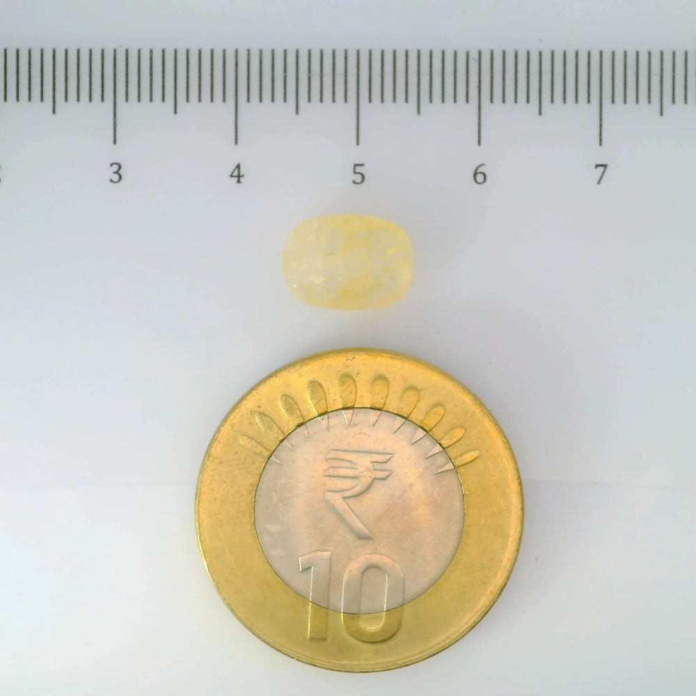 IGITL_200258_SCALE.webp