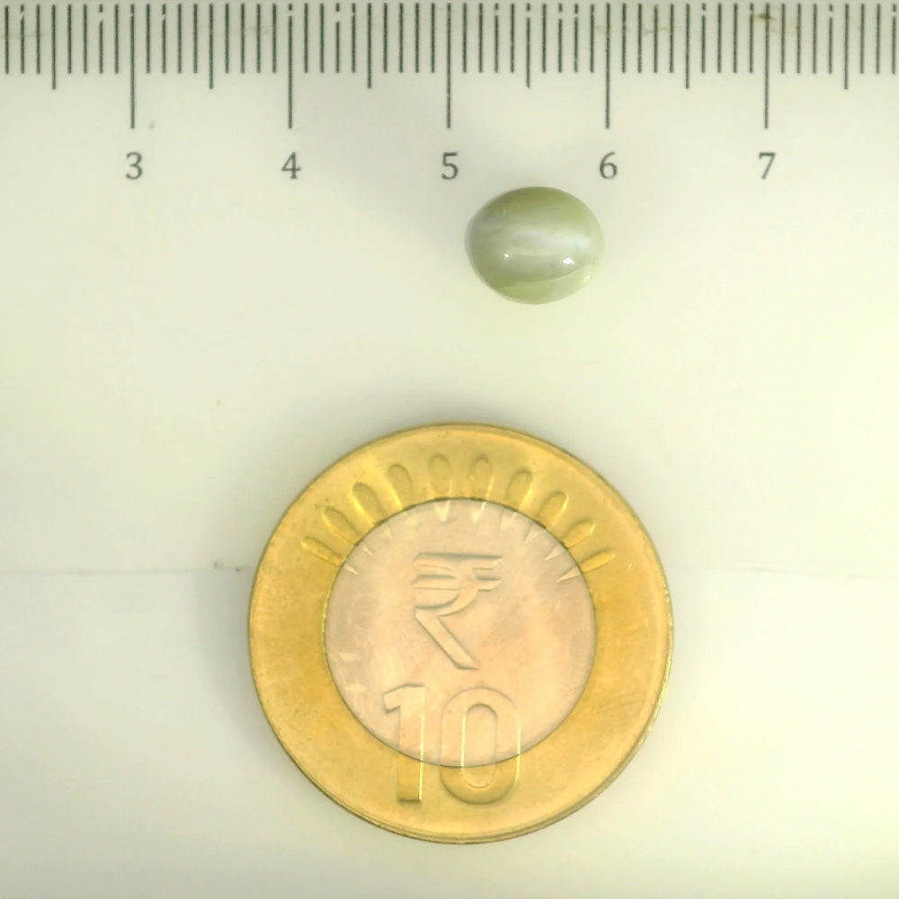 ITLGR_109803_SCALE.webp