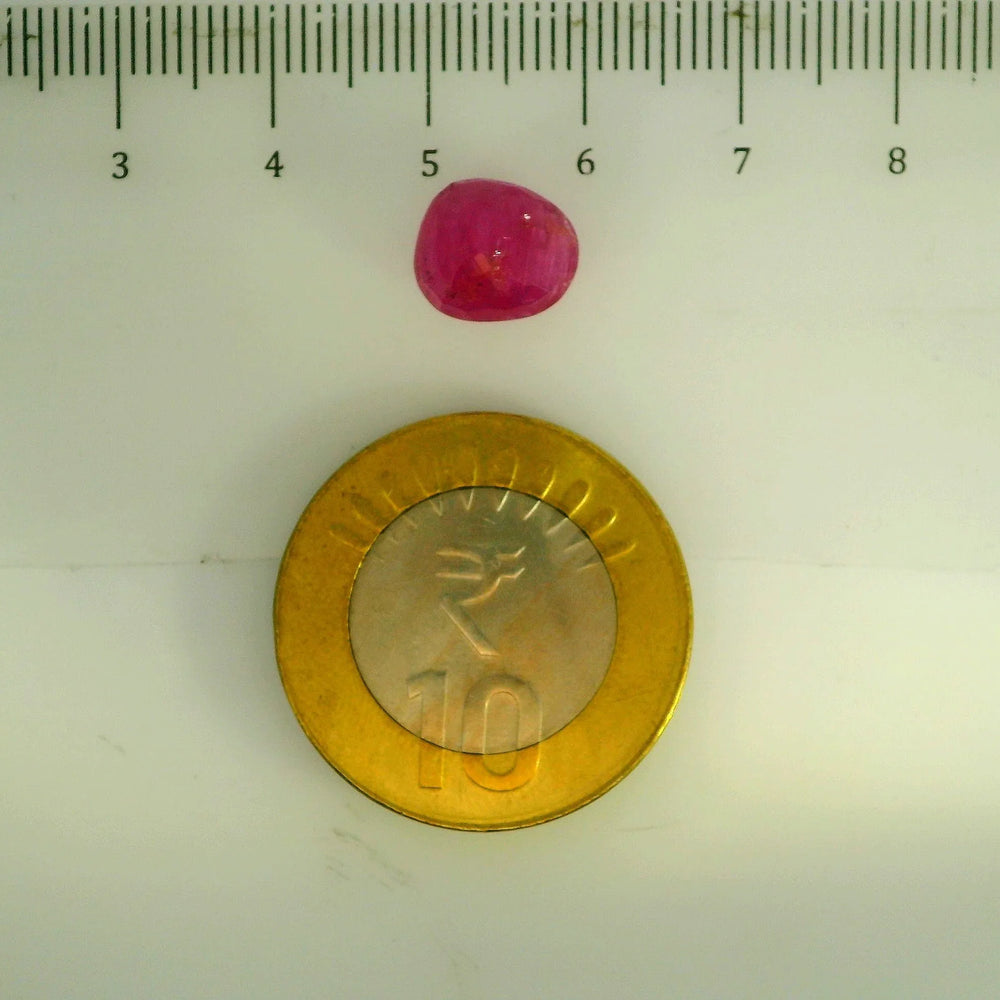 GFCO_39059_11_SCALE.webp