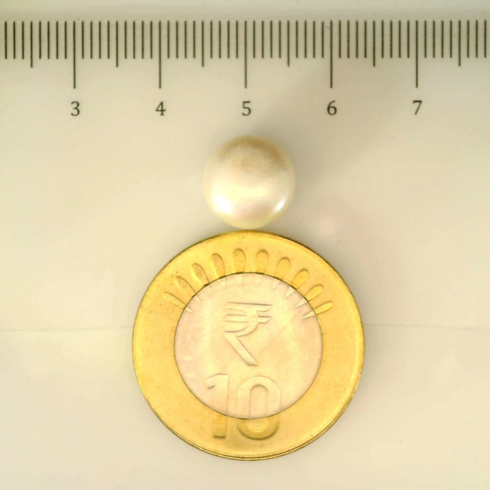 ITLGR_106989_SCALE.webp