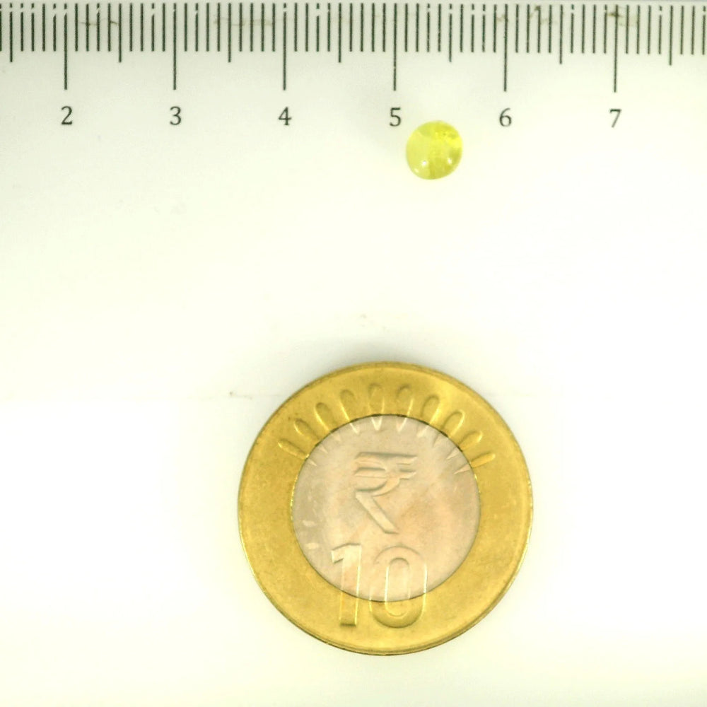 ITLGR_113158_SCALE.webp