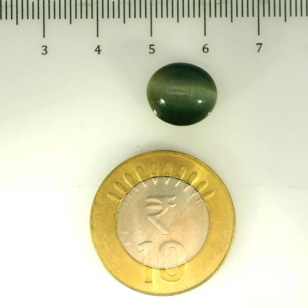 ITLGR_107065_SCALE.webp