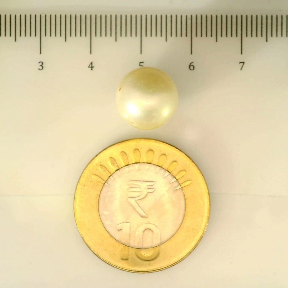 ITLGR_106928_SCALE.webp