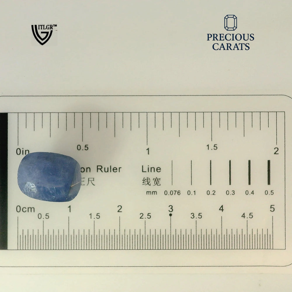 ITLGR_99026_SCALE.webp