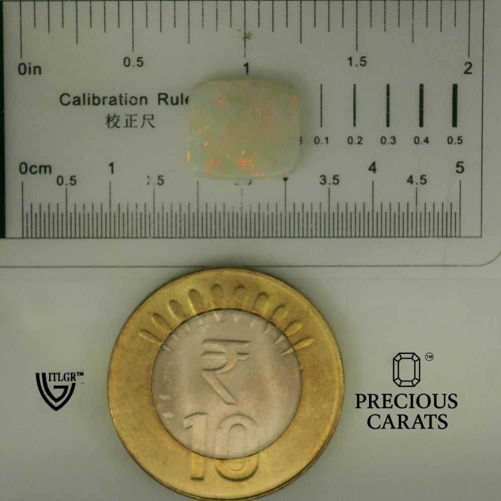 ITLGR_102001_SCALE.webp