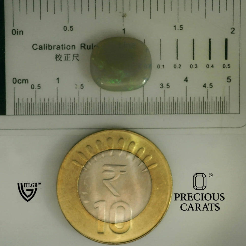 ITLGR_101953_SCALE.webp