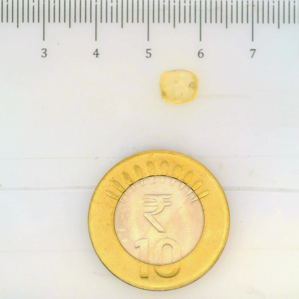 ITLGR_104976_SCALE.webp