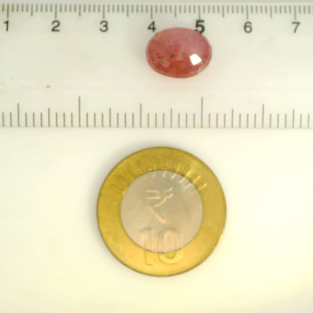 ITLGR_109891_SCALE.webp