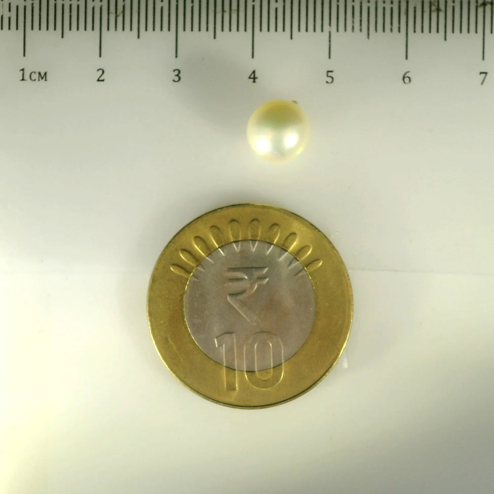 ITLGR_99860_SCALE.webp