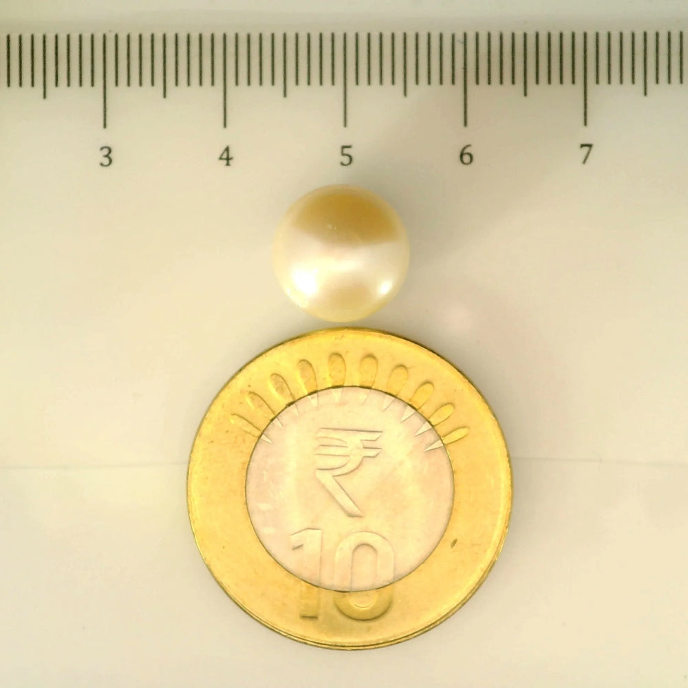 ITLGR_106944_SCALE.webp