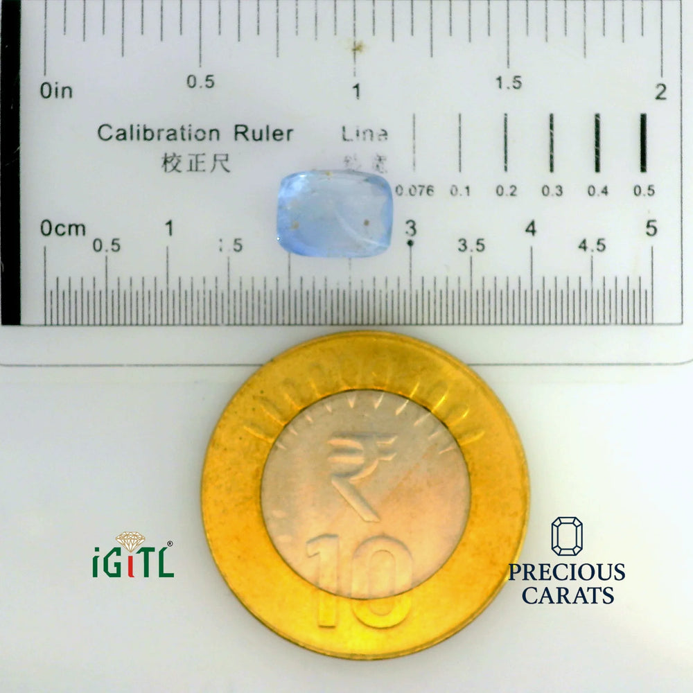 IGITL_197770_SCALE.webp
