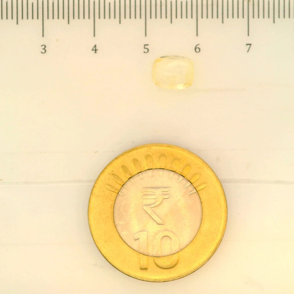 ITLGR_104997_SCALE.webp