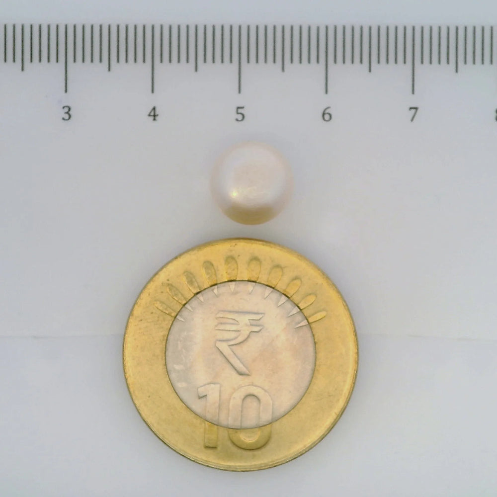 ITLGR_106958_SCALE.webp