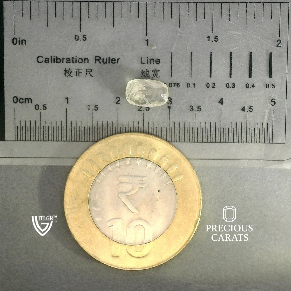 ITLGR_100390_SCALE.webp