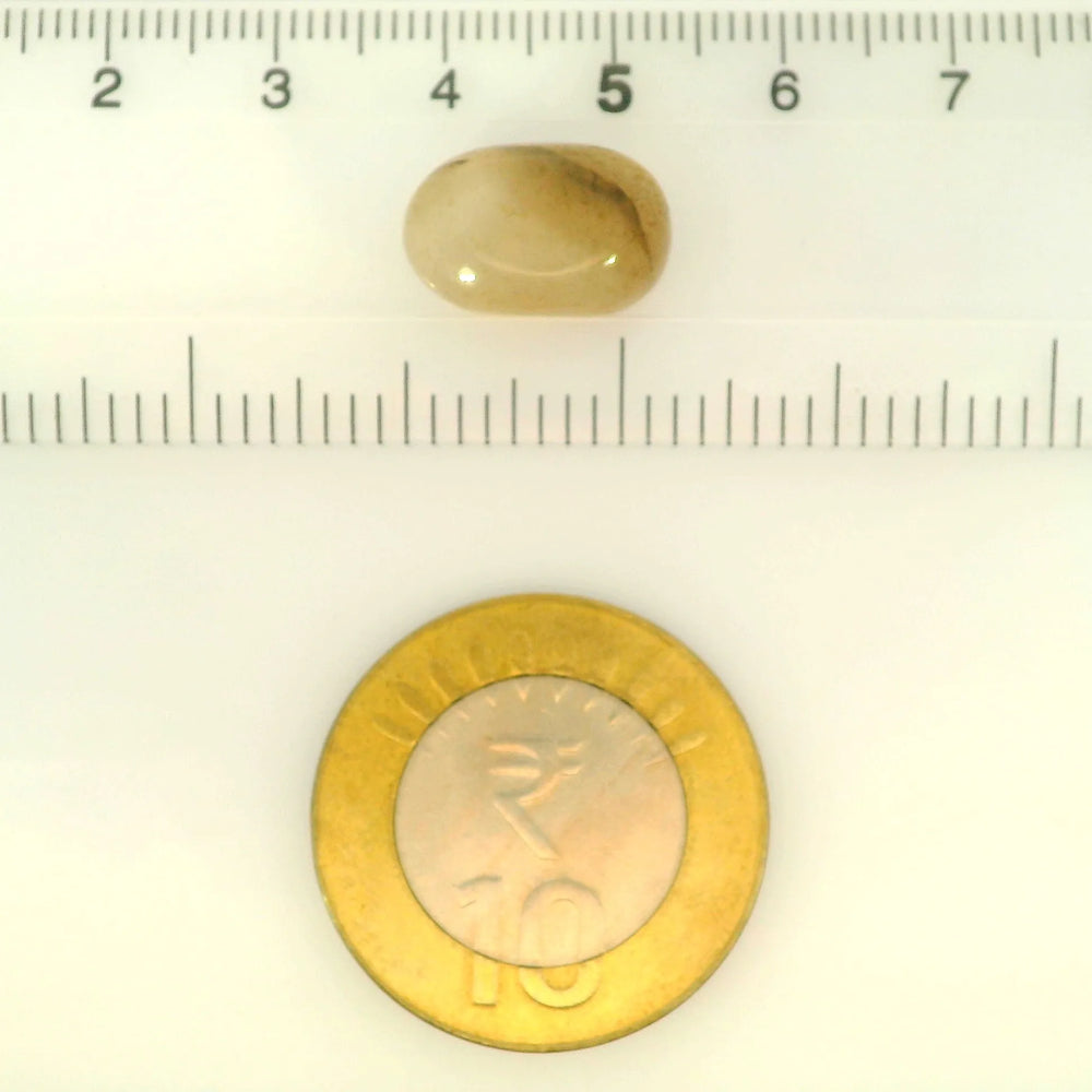 ITLGR_121459_SCALE.webp